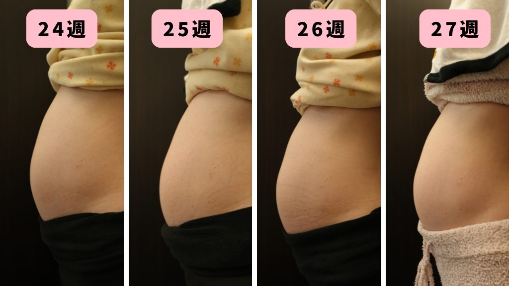 妊娠24～27週のお腹の大きさの変化
