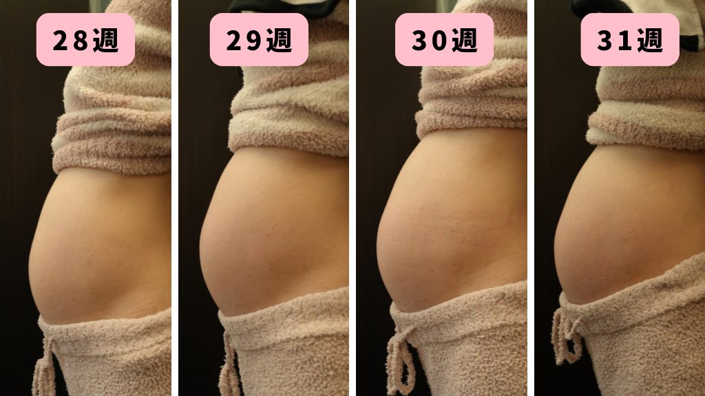 妊娠28~31週のお腹の大きさの変化